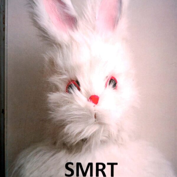 Smrt Zeke Manroa – Nik Kejv