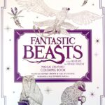 Fantastične zveri i gde ih naći - bojanka magičnih likova i mesta