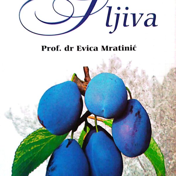 Šljiva- prof.Evica Mratinić