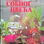 Nega sobnog cveca-Postupni prikaz