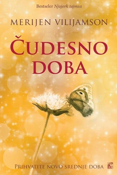 Merijen Vilijamson - Čudesno doba