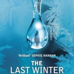 P.D. VINER - THE LAST WINTER OF DANI LANCING