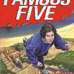 THE FAMOUS FIVE 19 : FIVE GO TO DEMON'S ROCKS