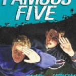 THE FAMOUS FIVE 13 : FIVE GO TO MISTERY MOOR