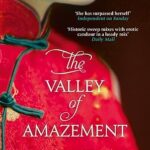 AMY TAN - THE VALLEY OF AMAZEMENT